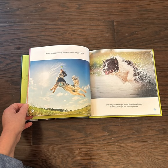 All Dogs Have ADHD hardcover book - Picture 3 of 3